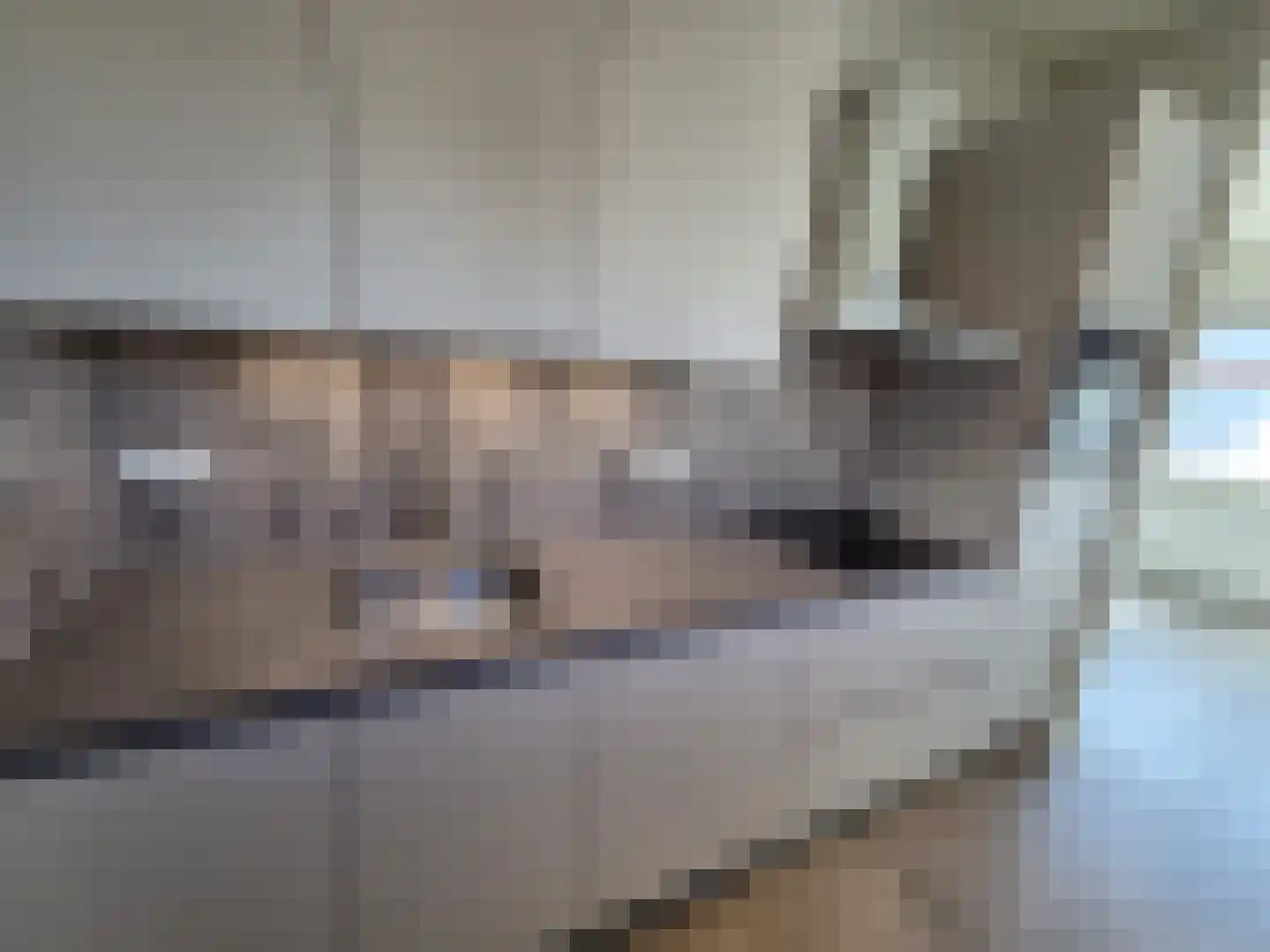 De Wijnsteker 3 Oosterhout thumbnail 14