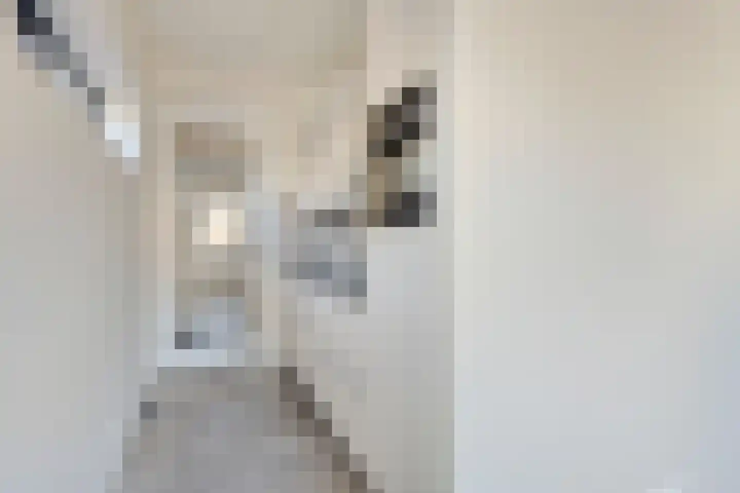 De Wijnsteker 3 Oosterhout thumbnail 15