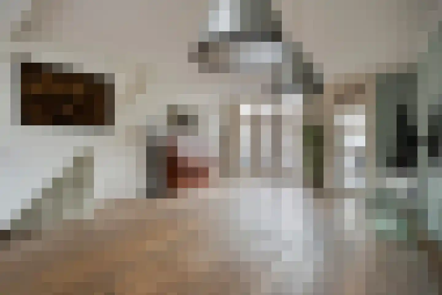 De Wijzend 130 Oosthuizen thumbnail 11