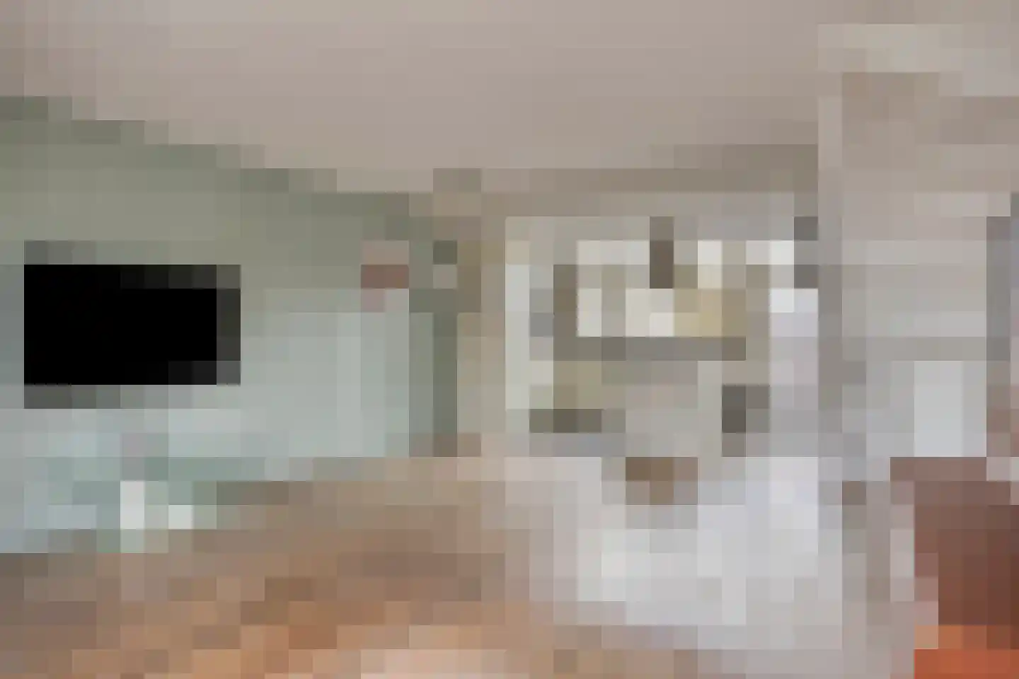 De Wijzend 130 Oosthuizen thumbnail 13