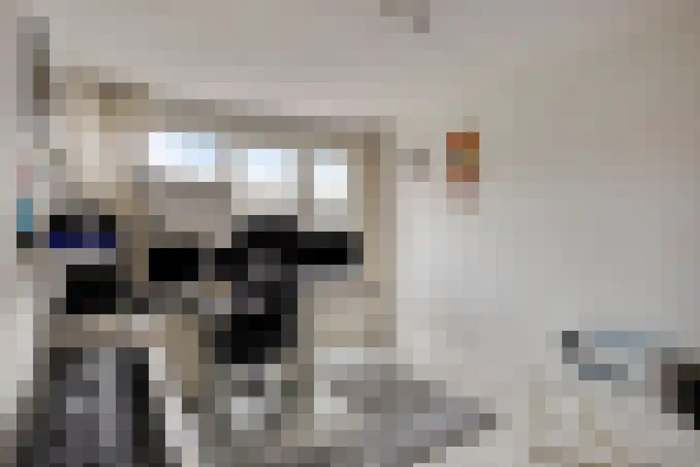 De Wijzend 130 Oosthuizen thumbnail 19