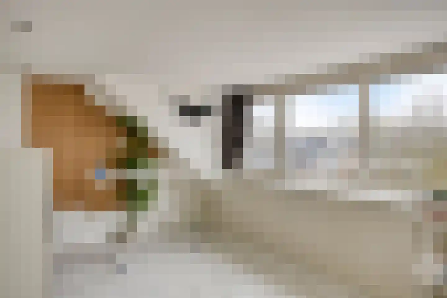De Wijzend 130 Oosthuizen thumbnail 31
