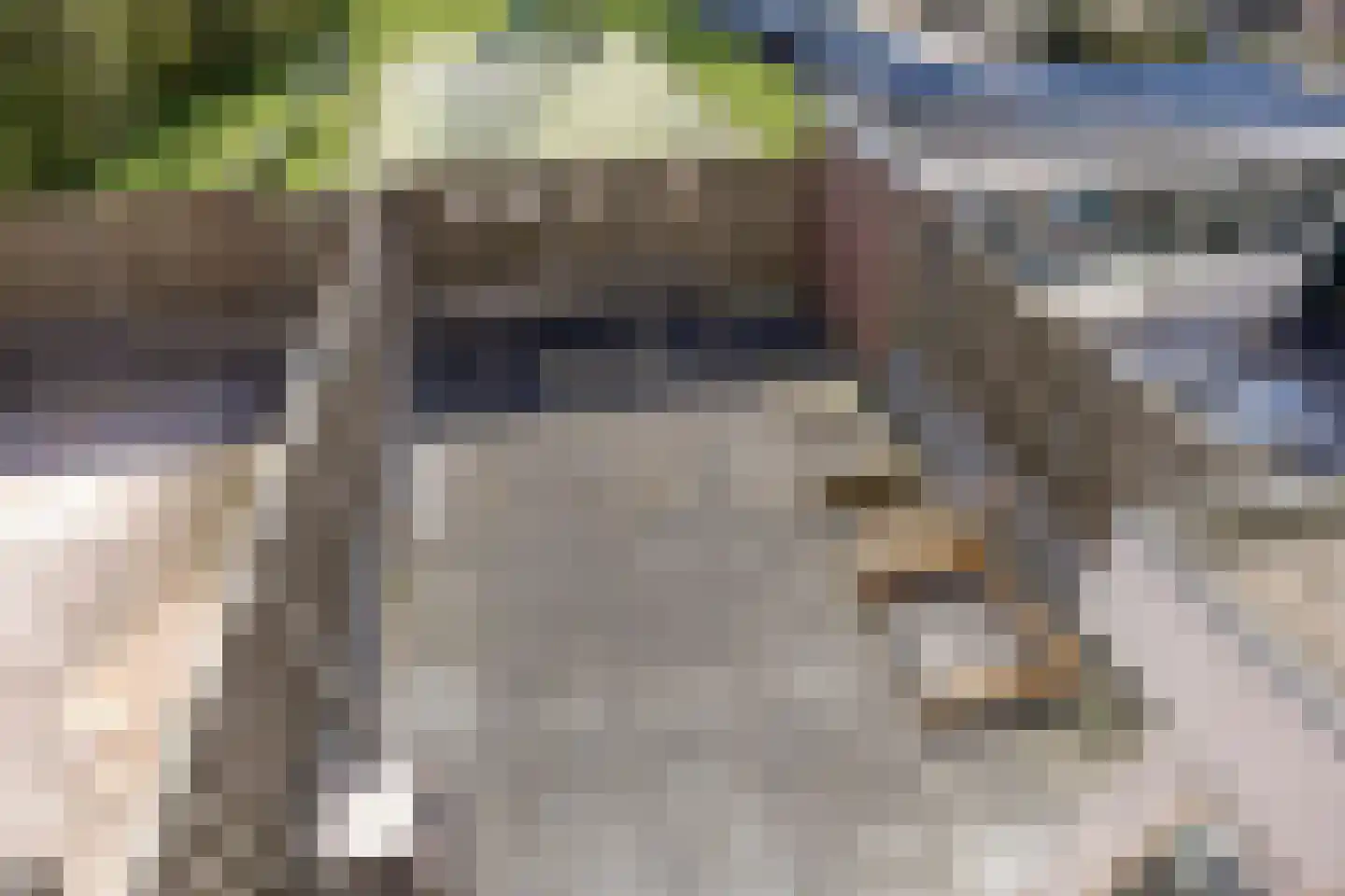 De Wijzend 130 Oosthuizen thumbnail 36
