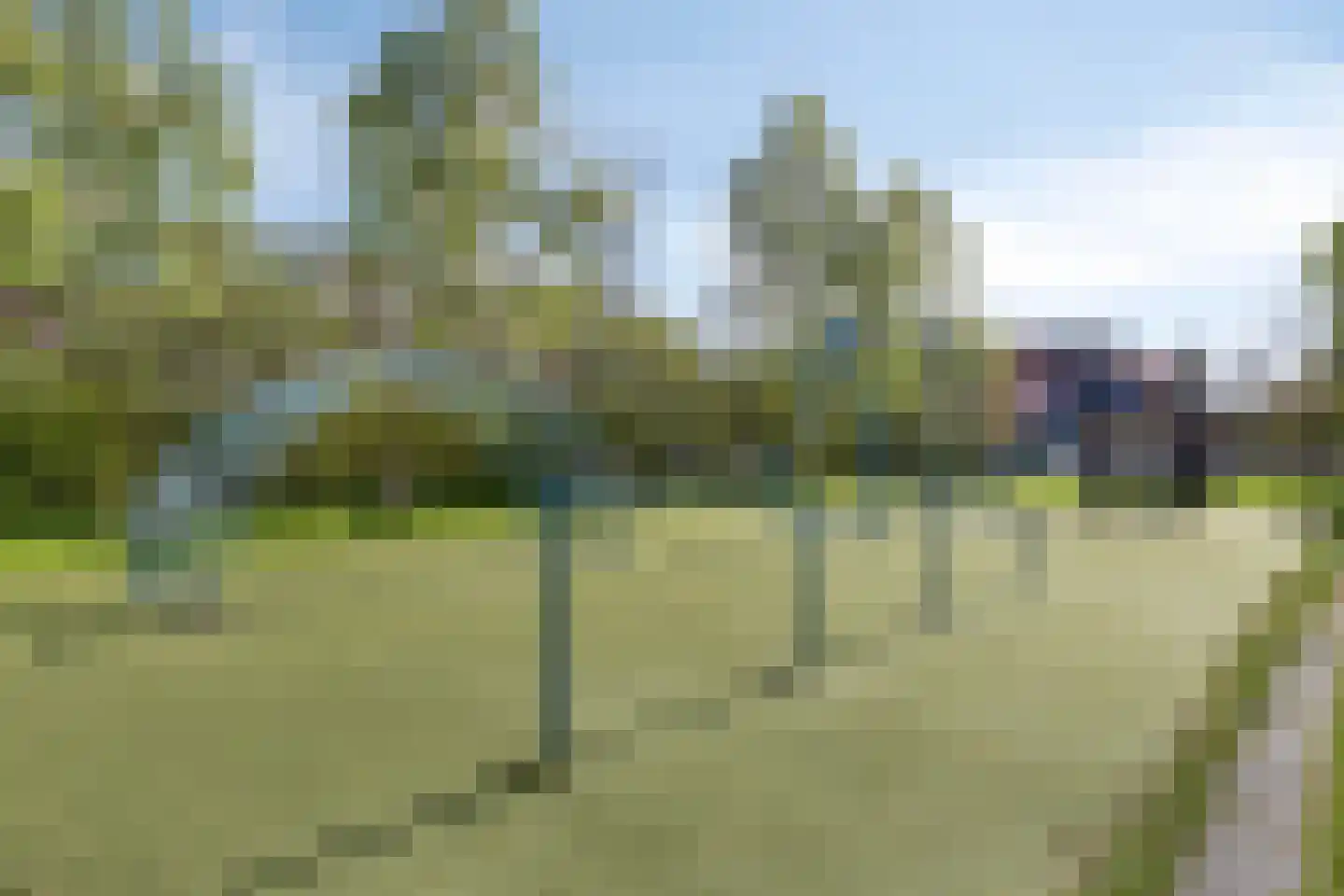 De Wijzend 130 Oosthuizen thumbnail 39