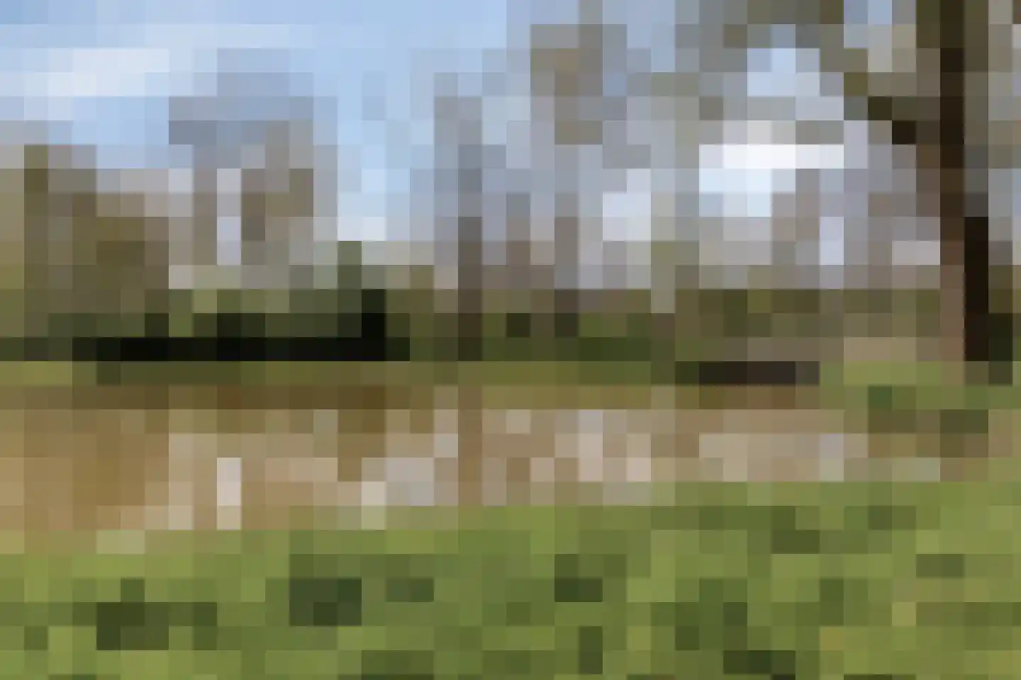 De Wijzend 130 Oosthuizen thumbnail 40