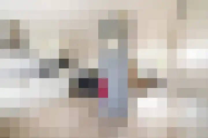 De Wijzend 133 Oosthuizen thumbnail 10