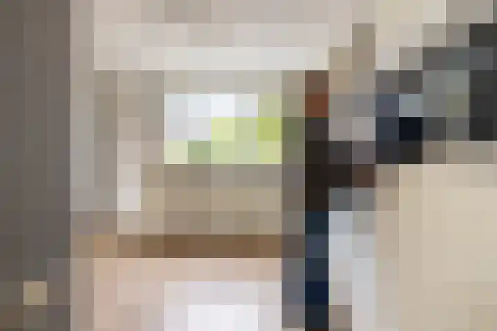 De Wijzend 133 Oosthuizen thumbnail 12