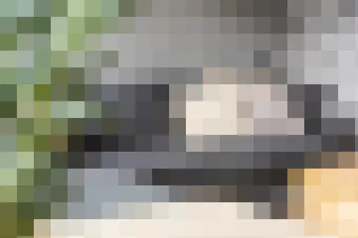 De Wijzend 133 Oosthuizen thumbnail 19