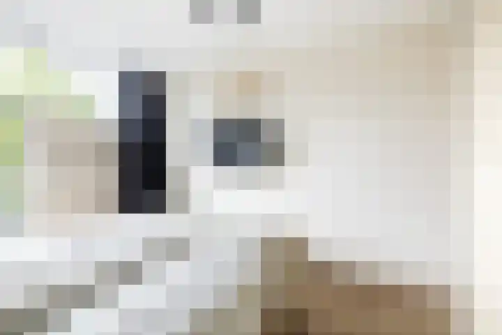 De Wijzend 133 Oosthuizen thumbnail 25