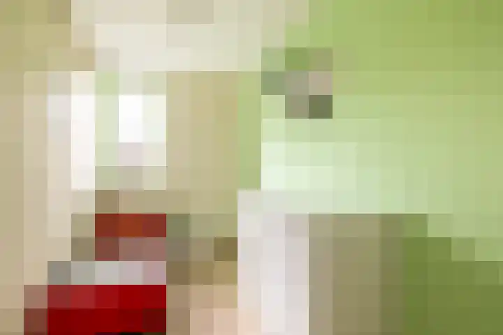 De Wijzend 133 Oosthuizen thumbnail 30