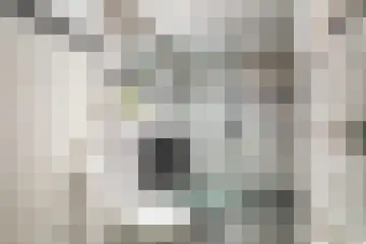 De Wijzend 133 Oosthuizen thumbnail 31