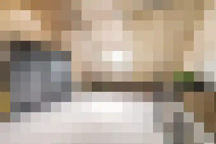 De Wijzend 133 Oosthuizen thumbnail 34