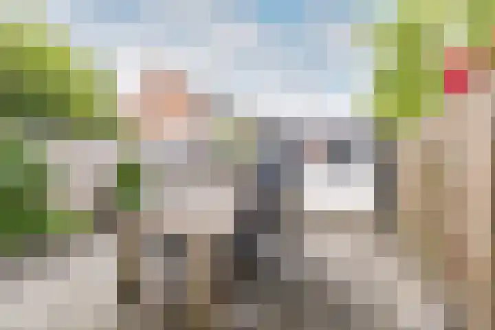 De Wijzend 133 Oosthuizen thumbnail 37