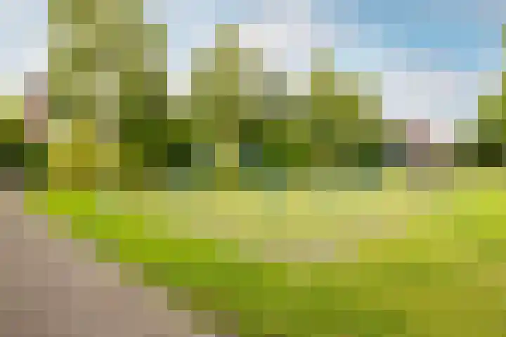 De Wijzend 133 Oosthuizen thumbnail 39