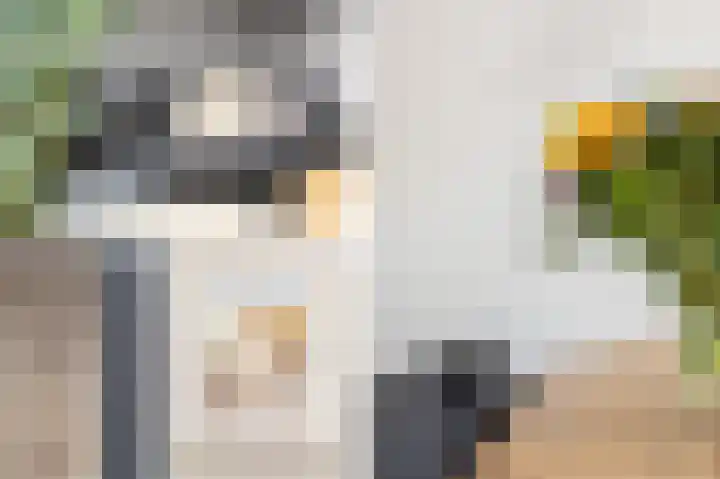 De Wijzend 133 Oosthuizen thumbnail 4