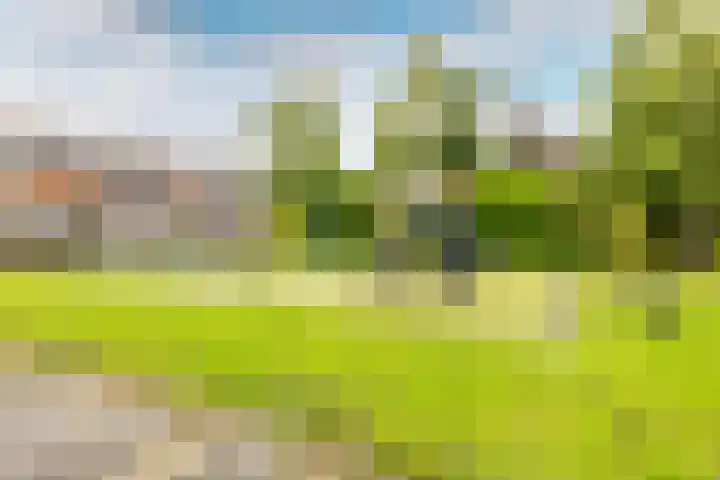 De Wijzend 133 Oosthuizen thumbnail 5