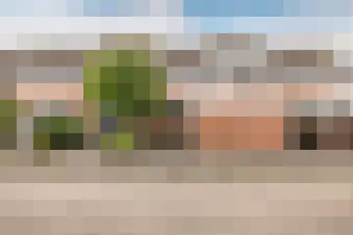 De Wijzend 133 Oosthuizen thumbnail 6