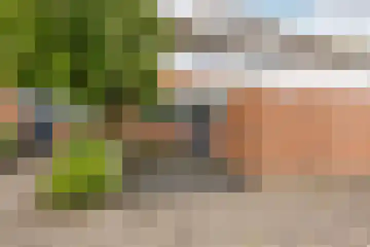 De Wijzend 133 Oosthuizen thumbnail 7