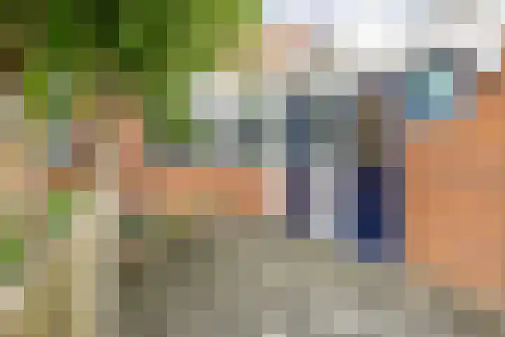 De Wijzend 133 Oosthuizen thumbnail 8