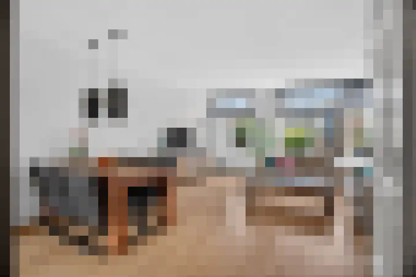 De Wijzend 146 Oosthuizen thumbnail 11