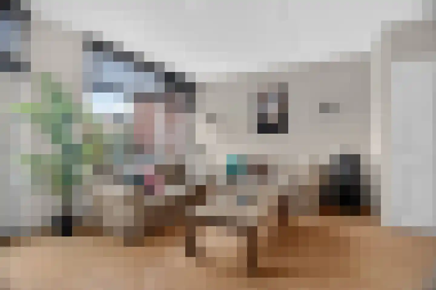 De Wijzend 146 Oosthuizen thumbnail 13