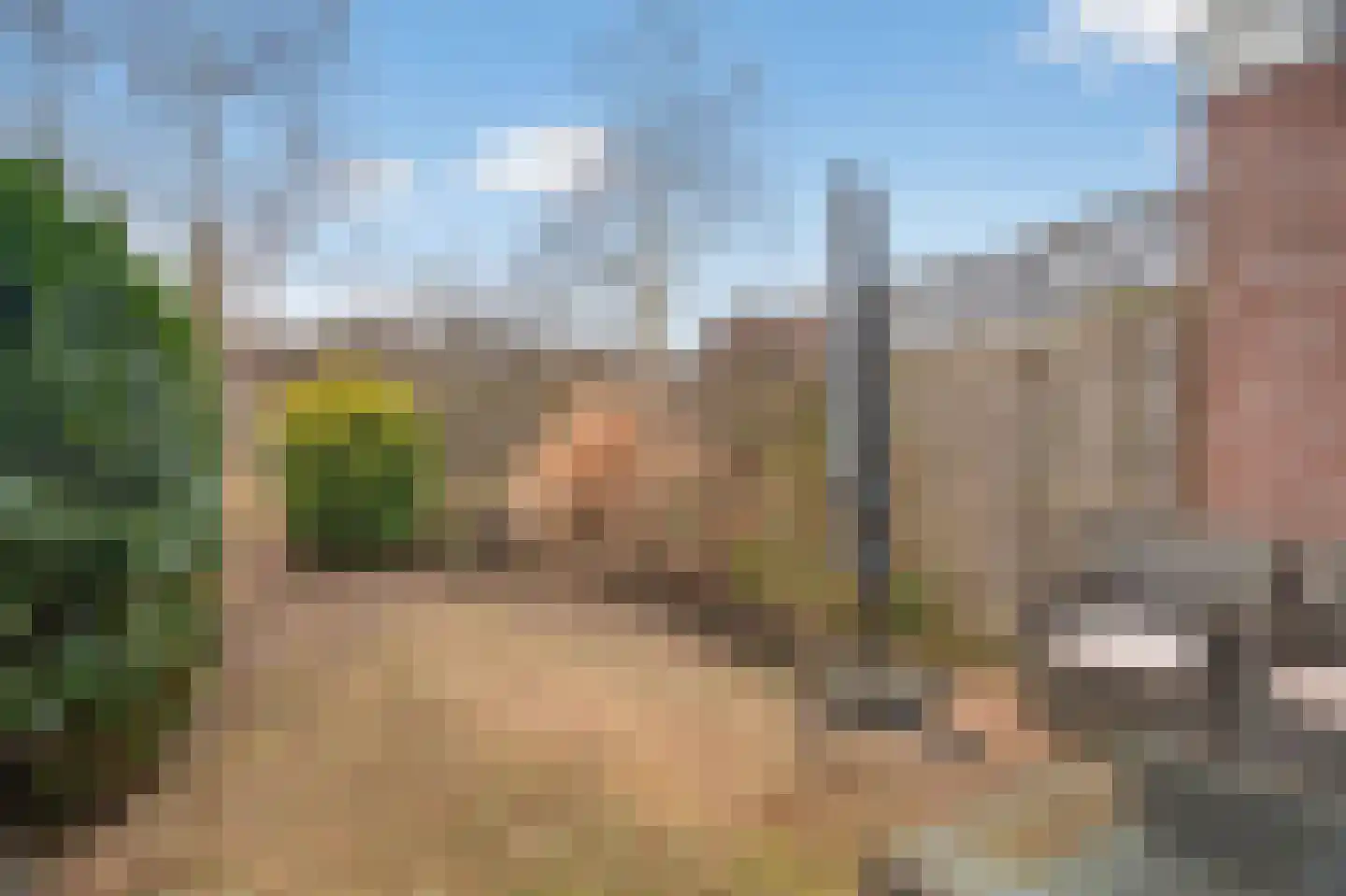 De Wijzend 146 Oosthuizen thumbnail 16