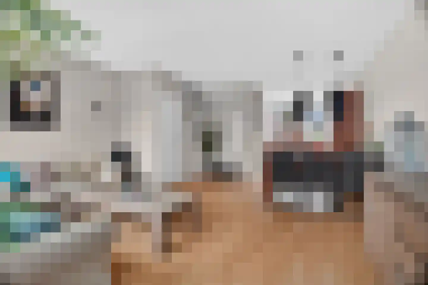 De Wijzend 146 Oosthuizen thumbnail 18
