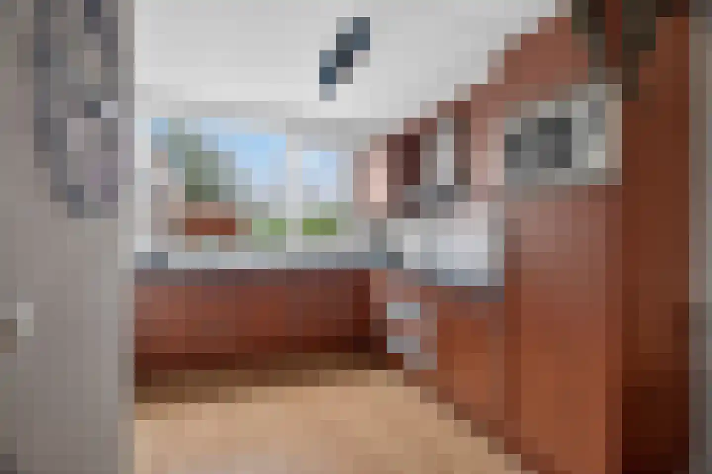 De Wijzend 146 Oosthuizen thumbnail 22