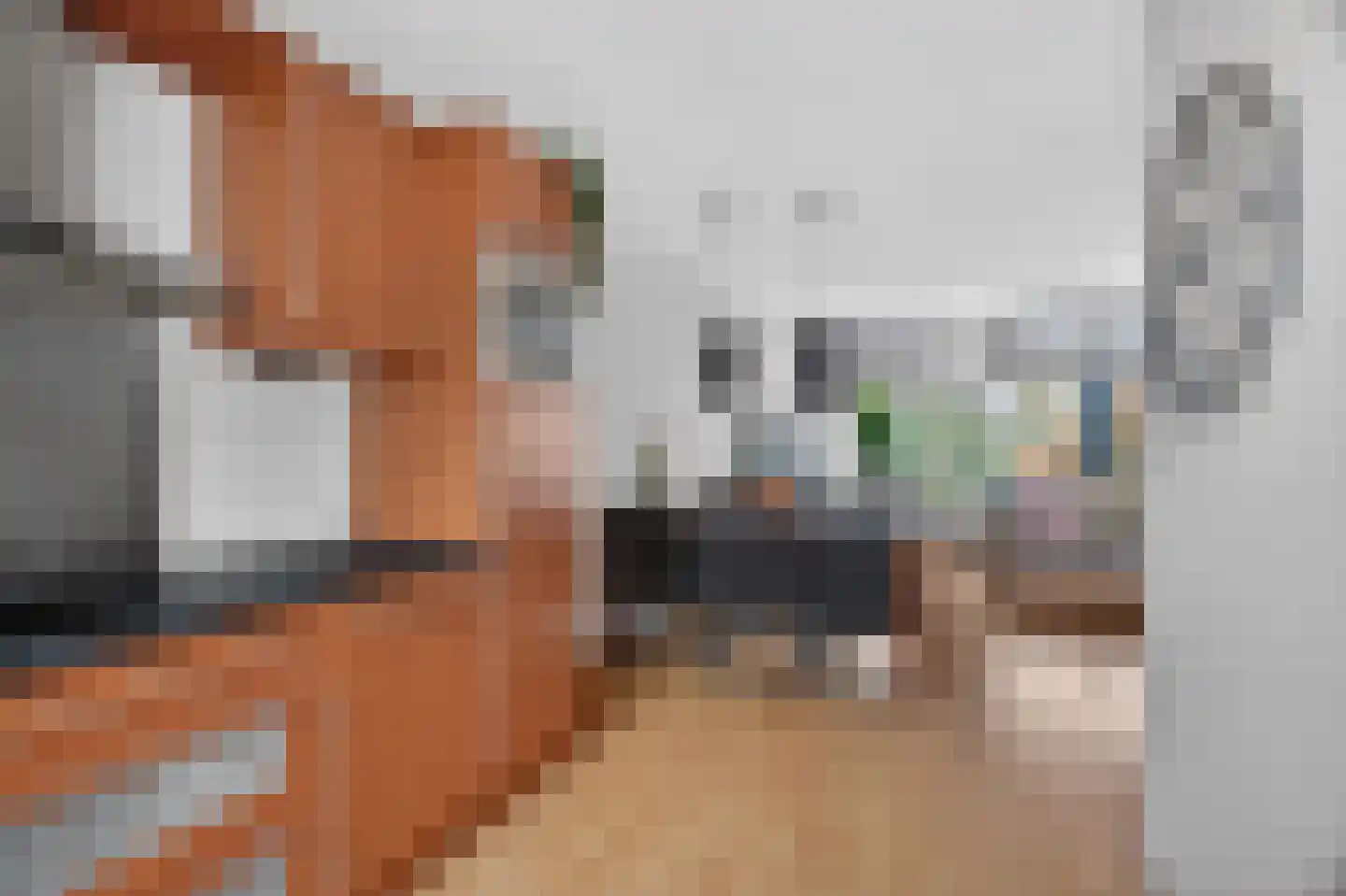 De Wijzend 146 Oosthuizen thumbnail 24