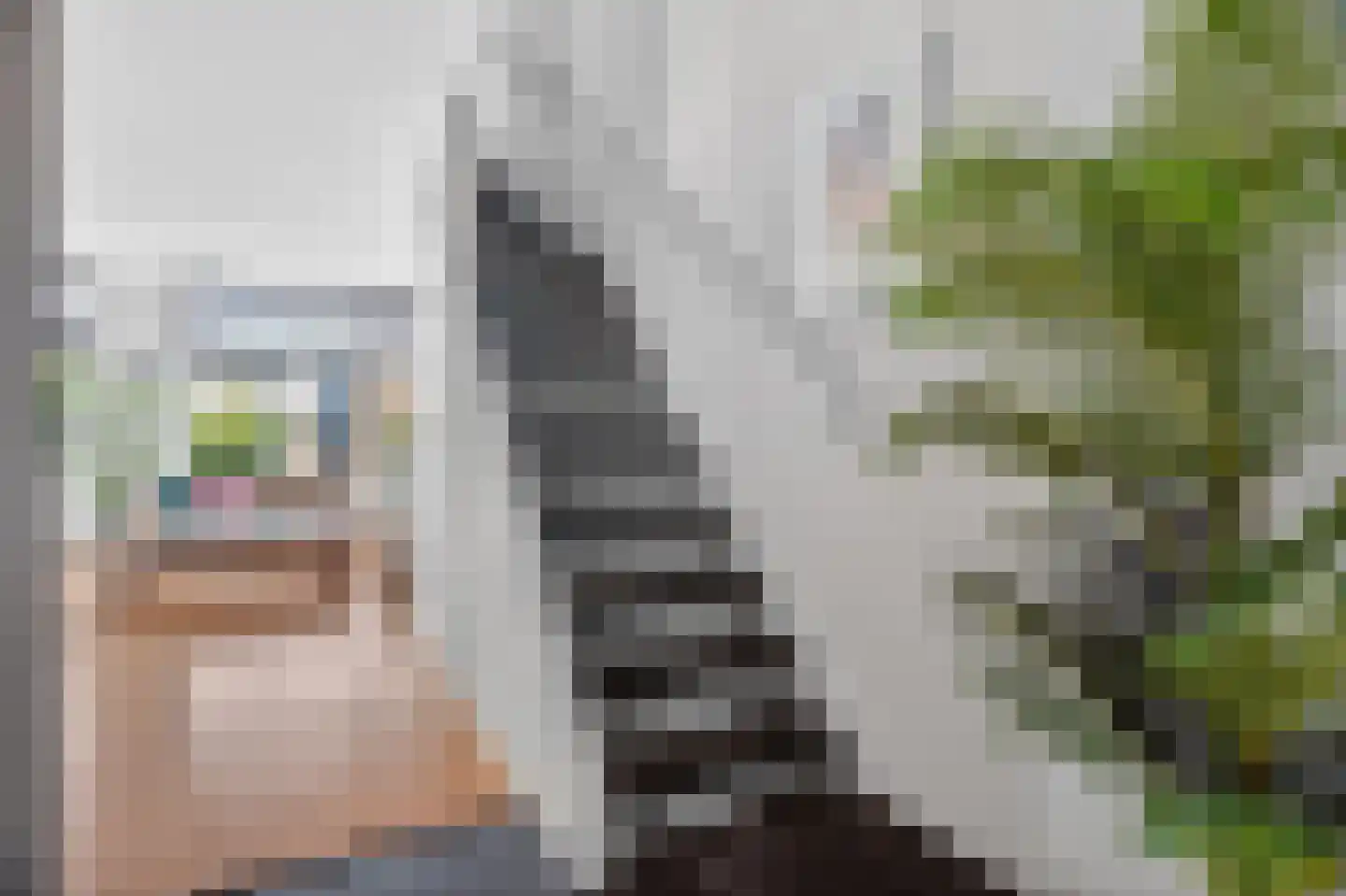 De Wijzend 146 Oosthuizen thumbnail 26