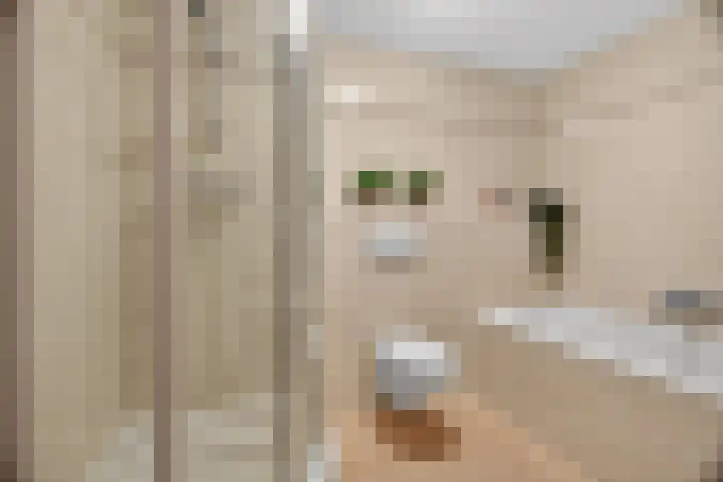 De Wijzend 146 Oosthuizen thumbnail 5