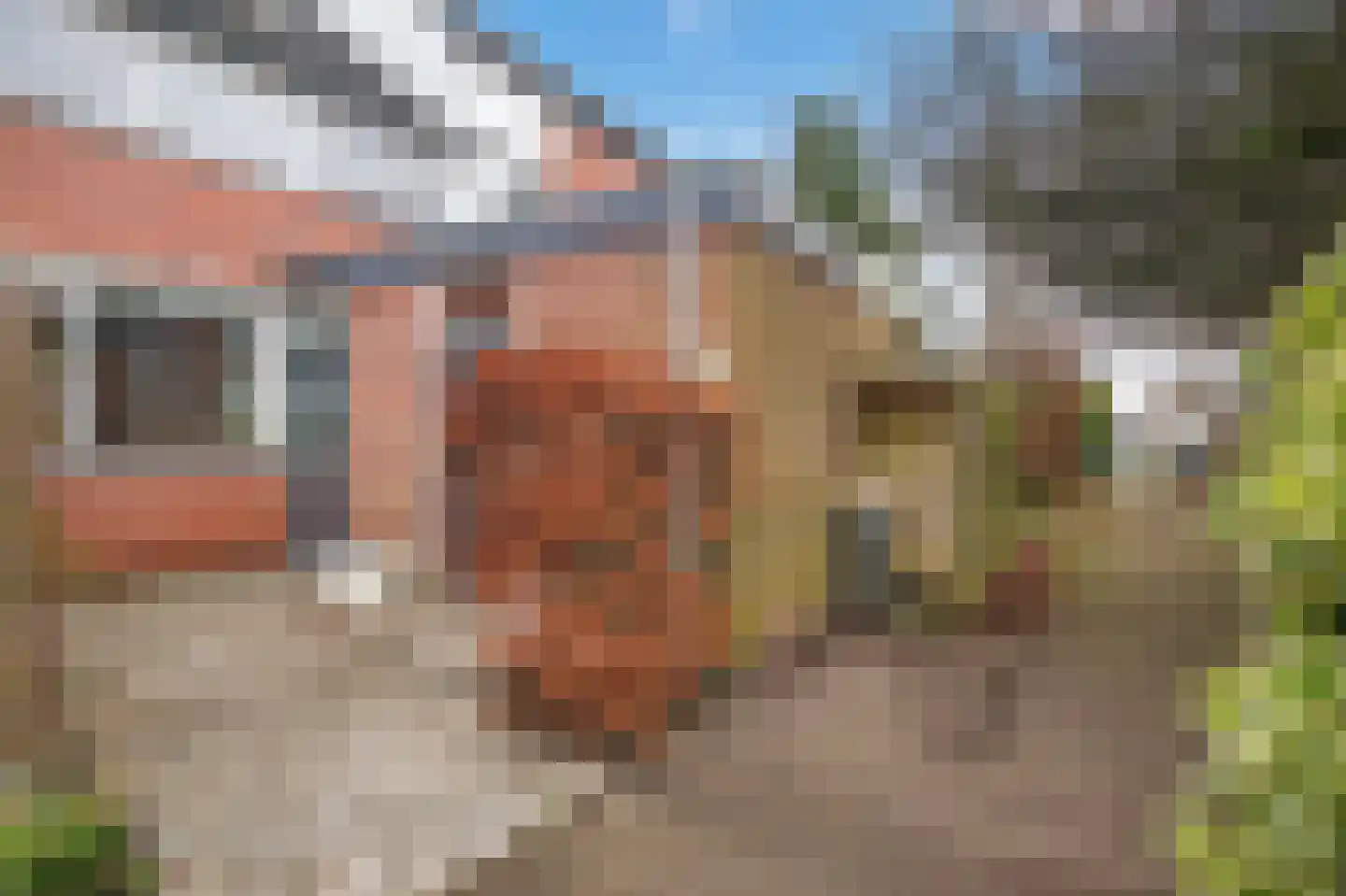 De Wijzend 146 Oosthuizen thumbnail 6