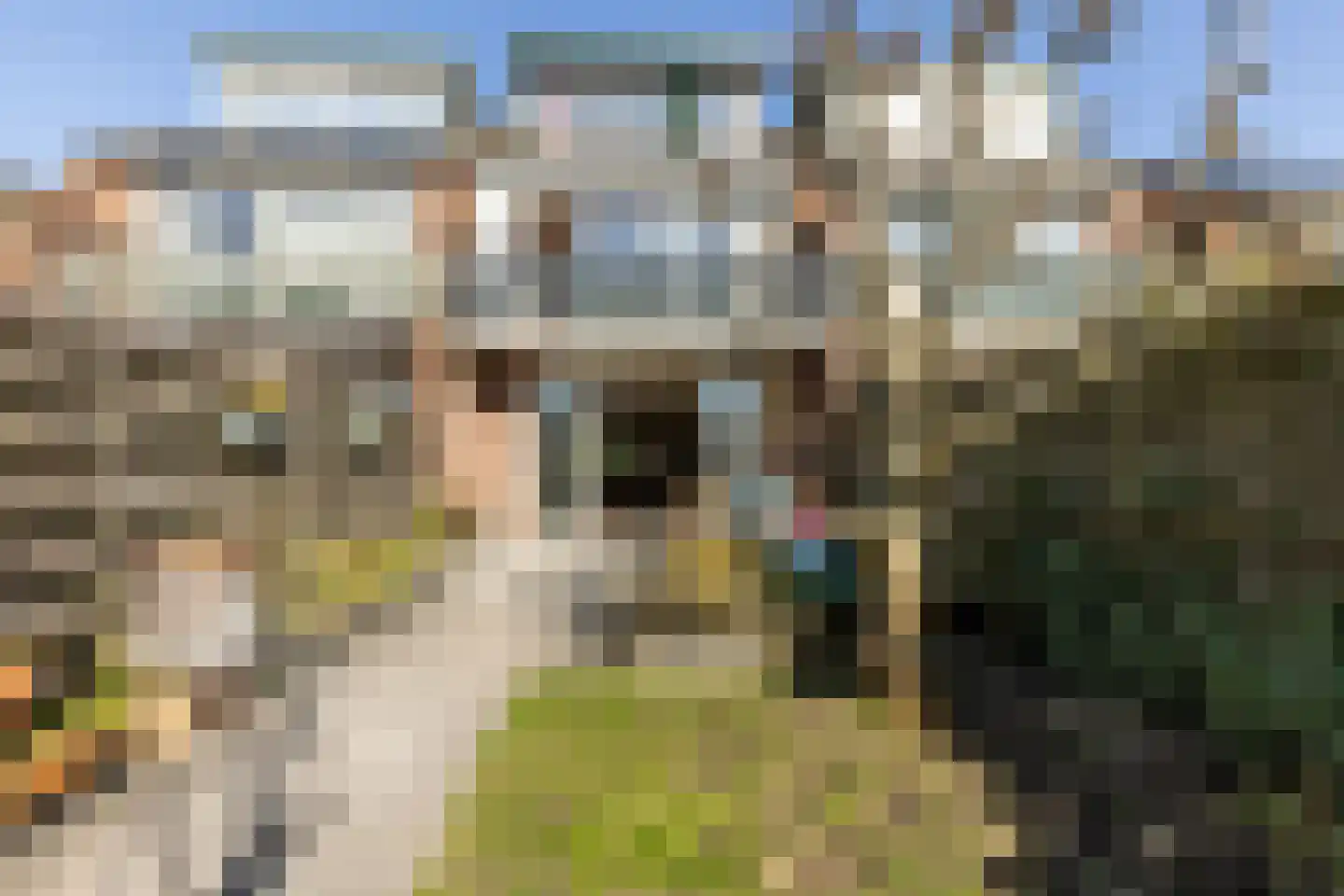 De Wijzend 172 Oosthuizen thumbnail 26
