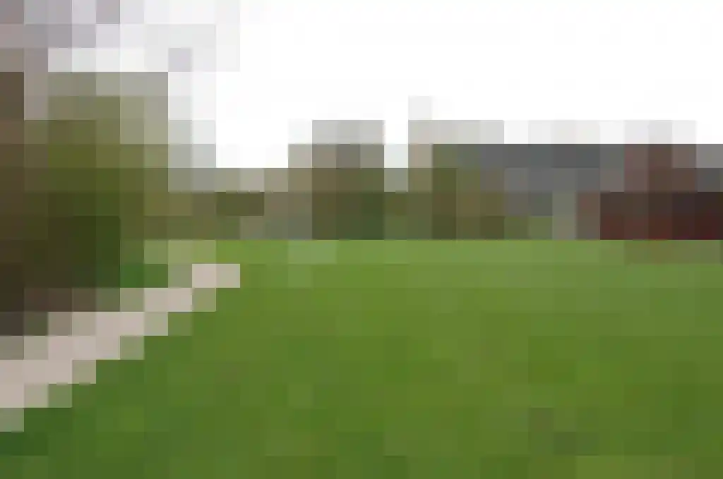 De Wijzend 172 Oosthuizen thumbnail 34