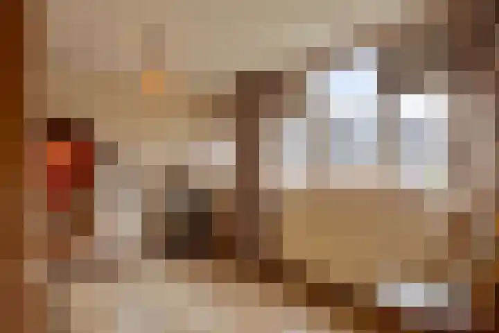 De Wijzend 38 Oosthuizen thumbnail 21