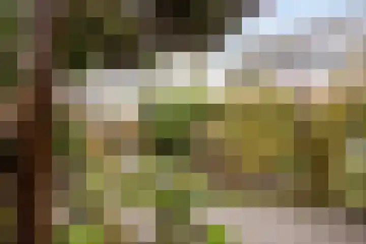 De Wijzend 38 Oosthuizen thumbnail 29