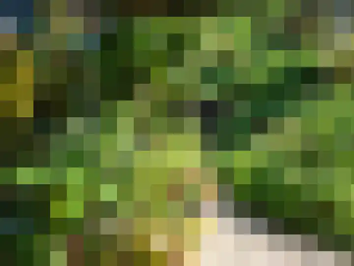 De Wijzend 38 Oosthuizen thumbnail 31
