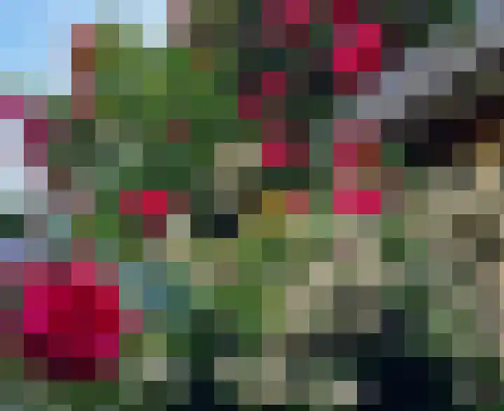 De Wijzend 38 Oosthuizen thumbnail 32