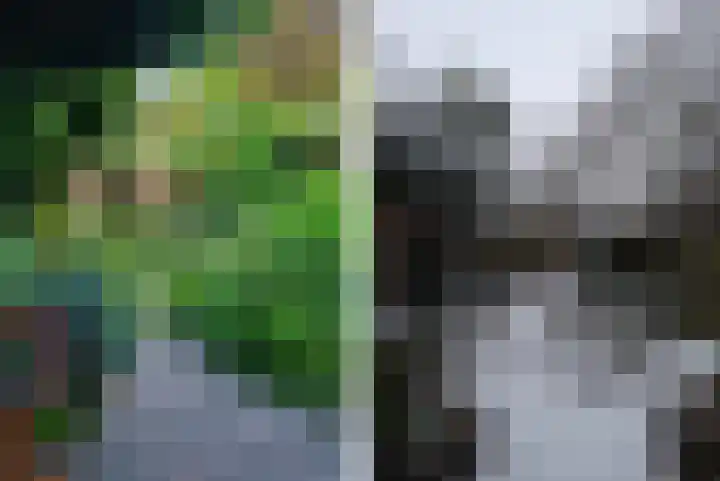 De Wijzend 38 Oosthuizen thumbnail 33