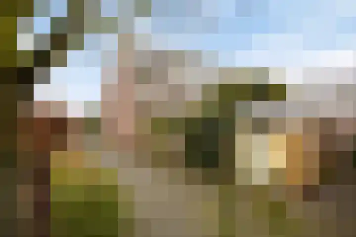 De Wijzend 38 Oosthuizen thumbnail 34