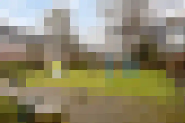 De Wijzend 38 Oosthuizen thumbnail 36