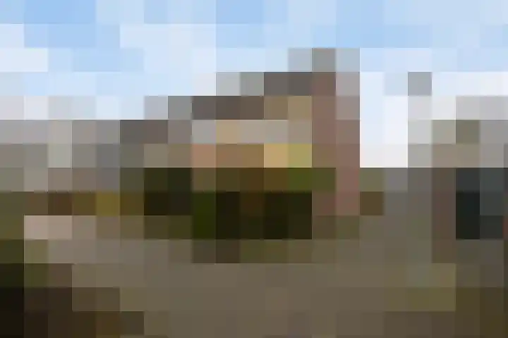 De Wijzend 38 Oosthuizen thumbnail 37