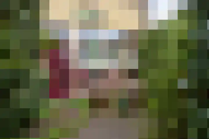De Wijzend 38 Oosthuizen thumbnail 7