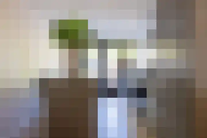 De Wijzend 54 Oosthuizen thumbnail 11