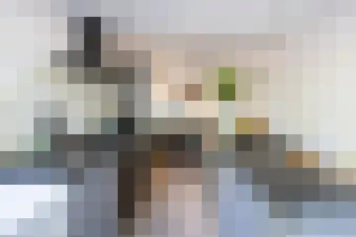 De Wijzend 54 Oosthuizen thumbnail 12
