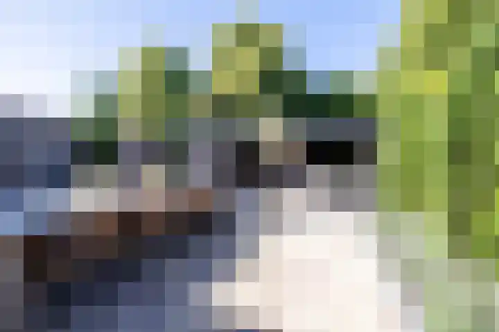 De Wijzend 54 Oosthuizen thumbnail 25