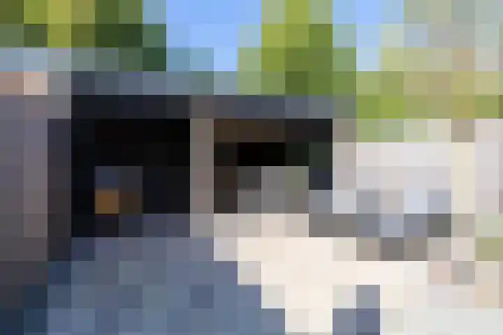 De Wijzend 54 Oosthuizen thumbnail 26