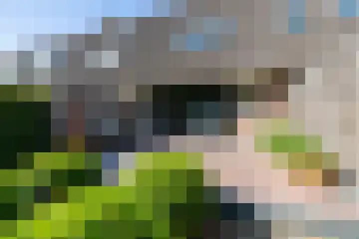 De Wijzend 54 Oosthuizen thumbnail 48
