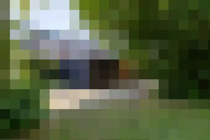 De Wijzend 54 Oosthuizen thumbnail 5