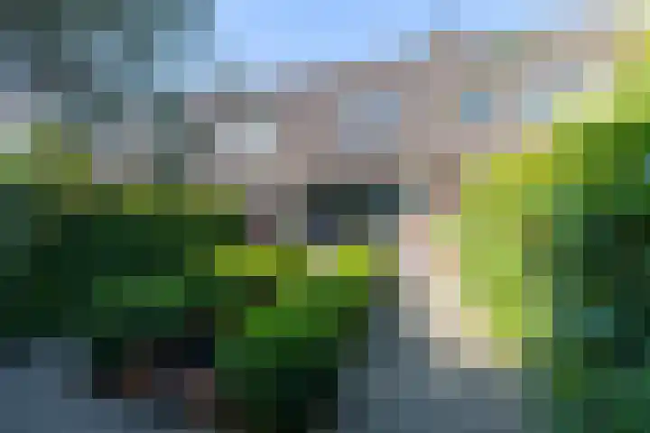 De Wijzend 54 Oosthuizen thumbnail 50
